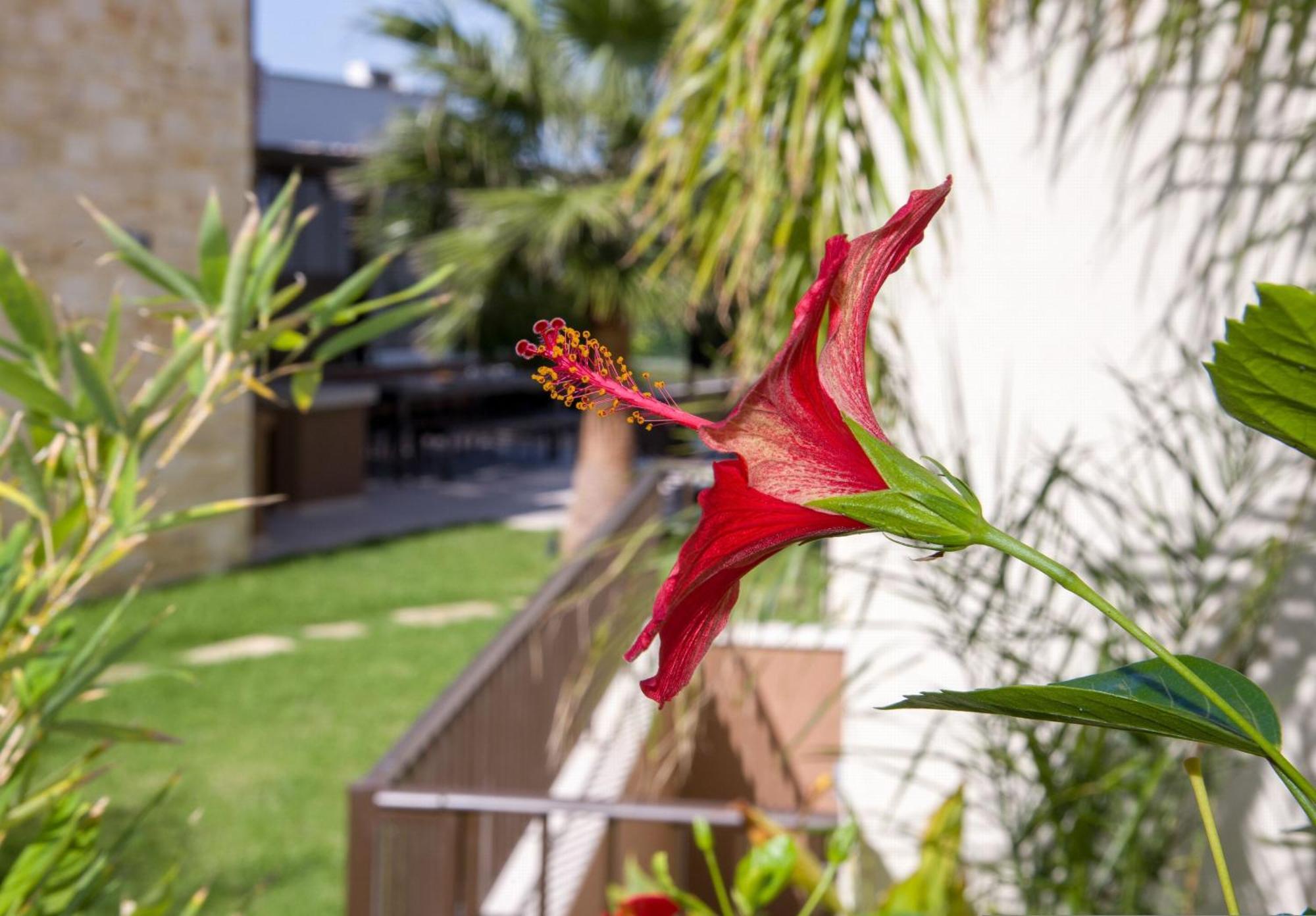 Almi-Cove Hilltop Villas Almirida Buitenkant foto